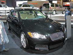 Jaguar - 1