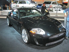 Jaguar - 3