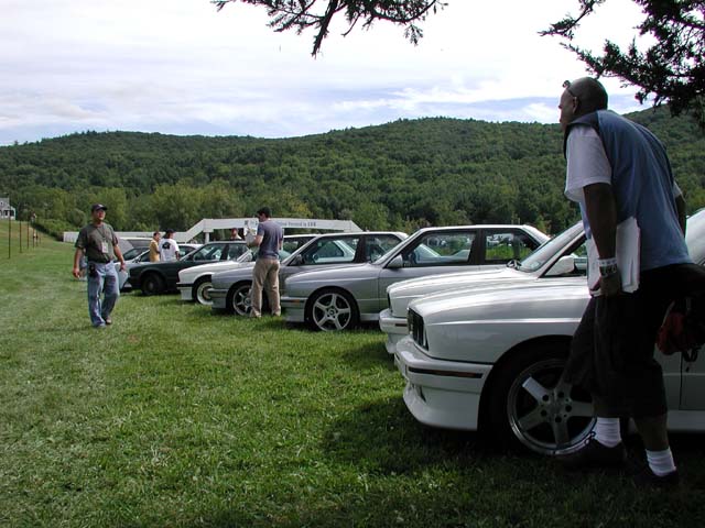 LimeRock185