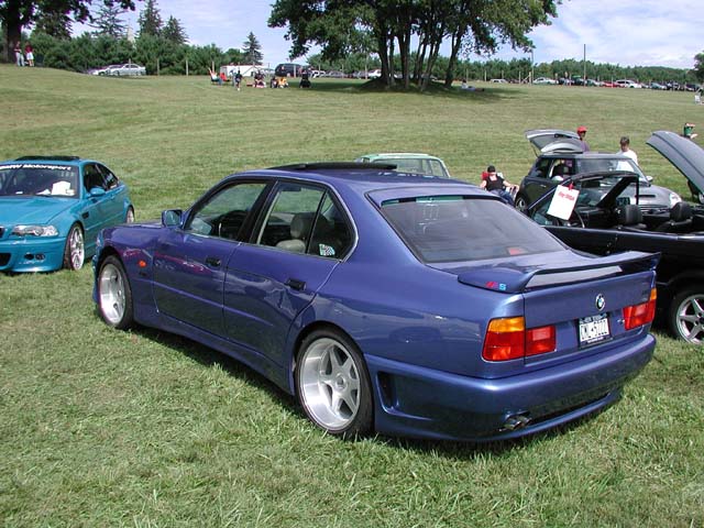 LimeRock205