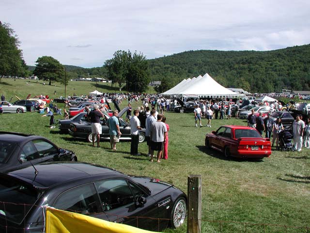 LimeRock246